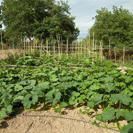 农家乐 Poggio Diavolino -