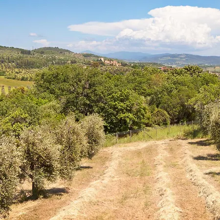 Poggio Diavolino - * Suvereto
