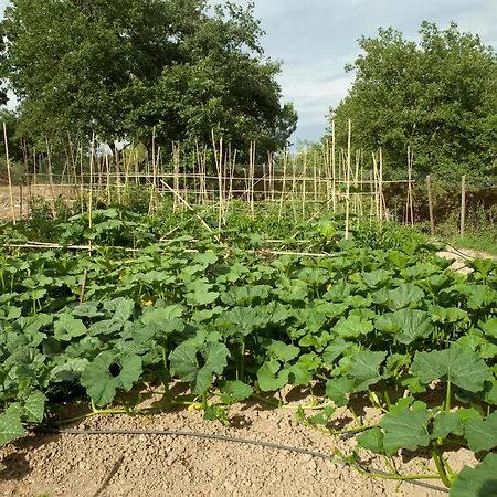 Vakantieboerderij Poggio Diavolino - *
